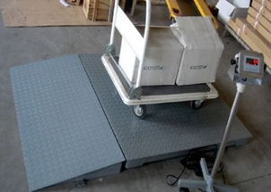 專業直供 1噸、2噸、3噸電子地磅與配套網絡技術服務，一站式解決方案