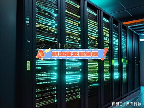 新加坡云服務器租用關鍵因素 數(shù)據(jù)處理與存儲支持服務解析