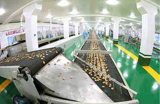 金正恩視察平壤食品廠，肯定國產設備與技術創新成果